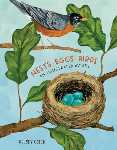 Nests eggs birds - nests,, an