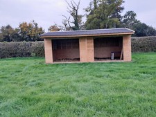 Double rht horse - rht,