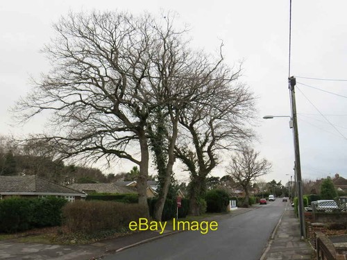 Photo 6x4 sandy lane - 6x4, upton