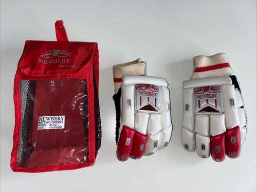Newbery b52 cricket batting - newbery,