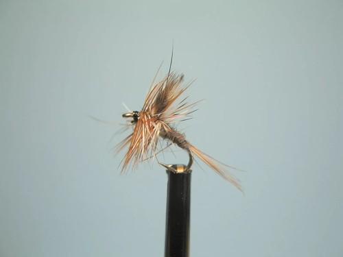 Trout flies adams dry - flies,