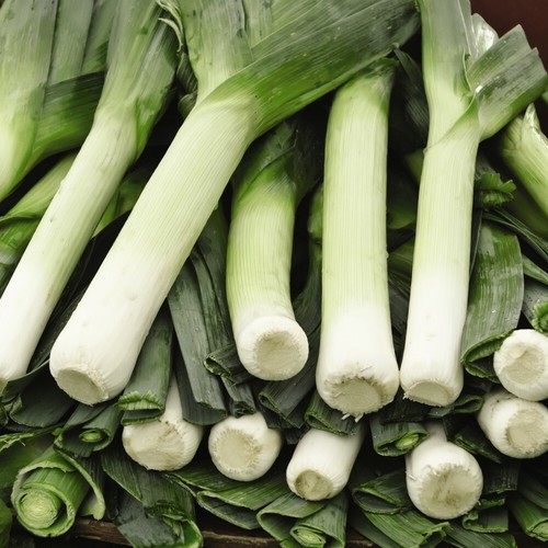 Thompson morgan leek - morgan,