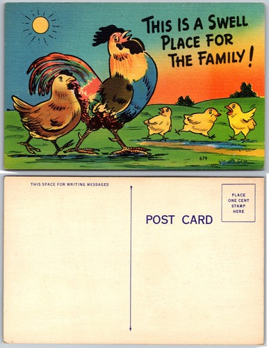 Rooster family cartoon - family,
