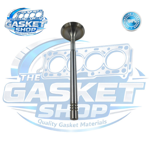 Inlet valve polo - inlet,