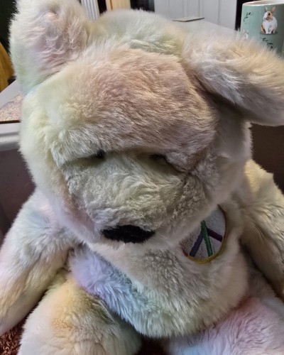 Beanie buddies extra - ty,