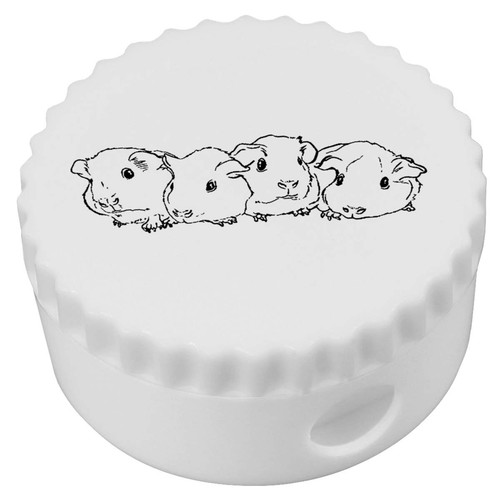 Baby guinea pigs compact - 'baby,