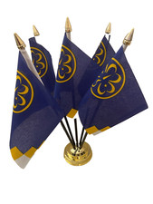 Girl Guides 5 Flag Flags Desk