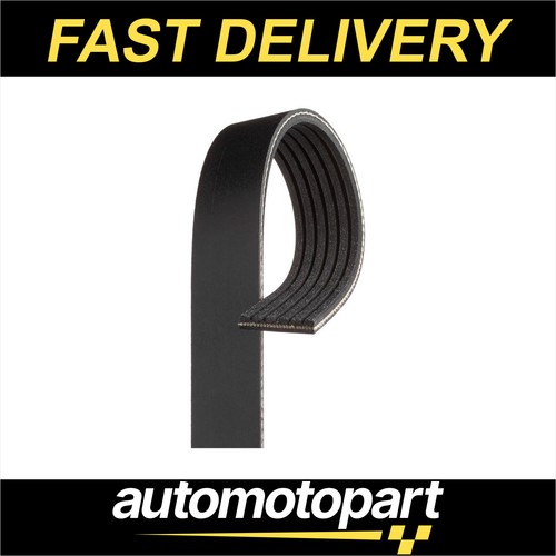 Gates rib multi drive belt - gates,