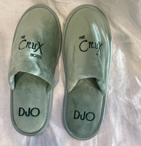Djo tour 2025 - djo,
