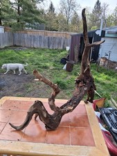 XXX-Large Driftwood
