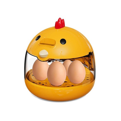 Eggs incubator practical - eggs,