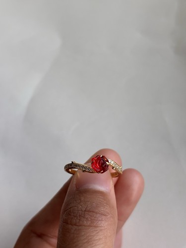 Pandora beauty and - and, the