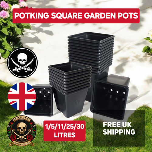 Plant pots potking - pots,