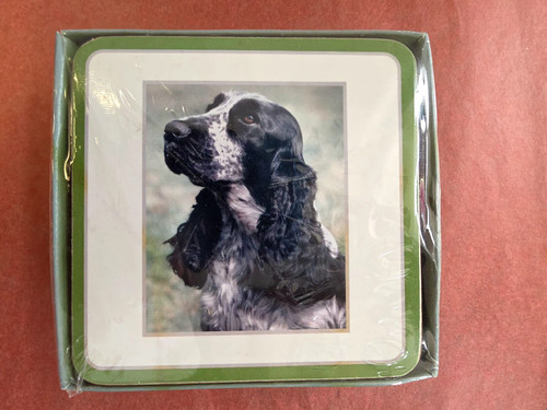 Animal Photo Coaster Set