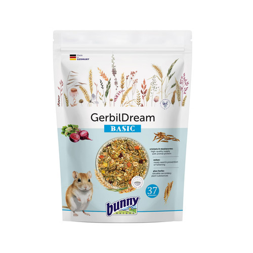 Gerbil food bunny nature - food,