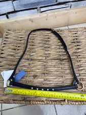 Miniature Horse Small In Hand