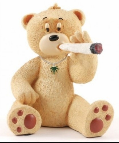 Bad taste bears bernie boxed - bears,