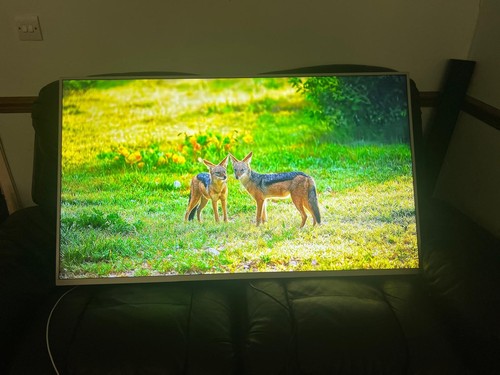 Philips inch smart - philips, 55