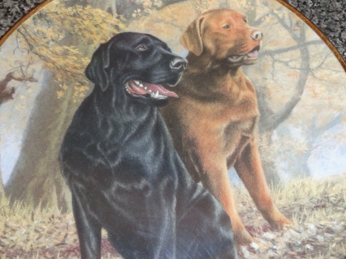 Lovely franklin mint labrador - lovely,
