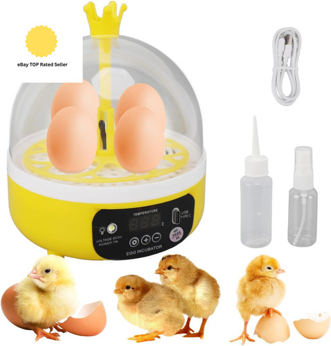 Eggs mini incubator - eggs, with