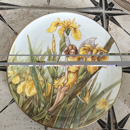 Border fine arts the iris - fine,