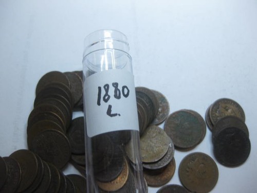 Roll 1880 indian - 1,