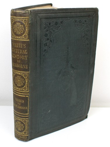 Natural history antiquities - natural, &