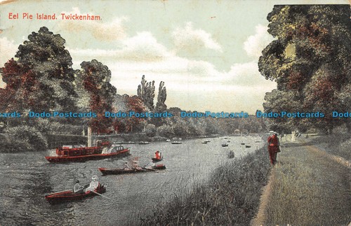 R104817 eel pie - eel,