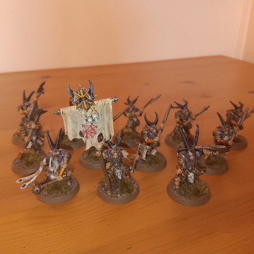 X12 beastmen bestigor herd - beastmen,