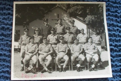 Rhodesian original photograph - rhodesian,