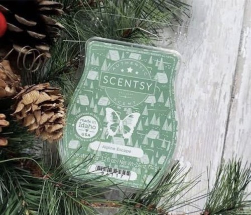 Scentsy wax melt - scentsy,