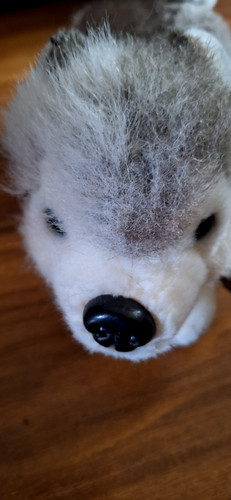 Keel toys 20cm husky - keel,