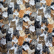 Kitty cats print - print, 100%