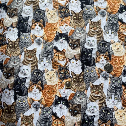 Kitty cats print 100 - print, craft