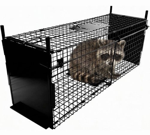 Animal cage trap - animal, x