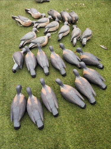 24x cork pigeon - hunting, decoy