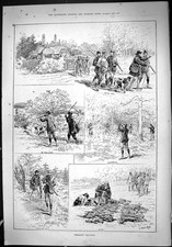 Old Print 1887 Pheasant