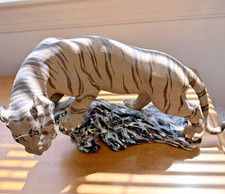 Rare vintage bengal - rare,