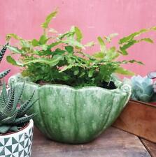 Green Shell Planter Pot Herb