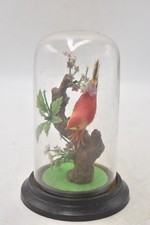 Vintage Faux Taxidermy Felted