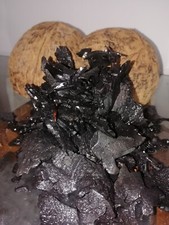 coconut shell charcoal and