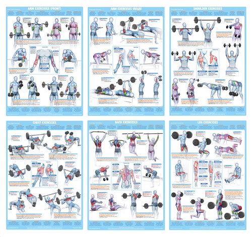 Weight training exercise - training,