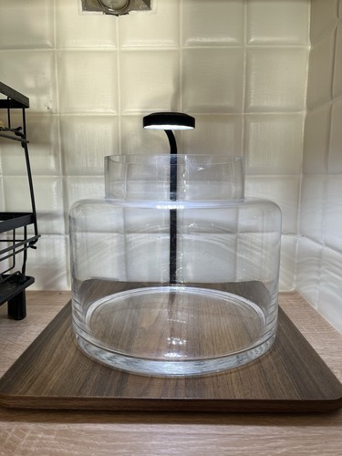 Vase terrarium shrimp tank - vase,