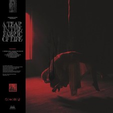 Knocked loose tear - knocked,