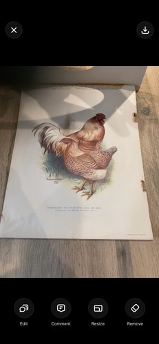 Antique 1902 harrison - antique,
