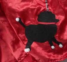 GIRLS FANCY DRESS RED ROCK & ROLL SKIRT WITH POODLE APPLIQUE AGE 11-14 YRS/