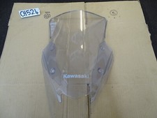 Kawasaki Z1000 SX Screen 2021