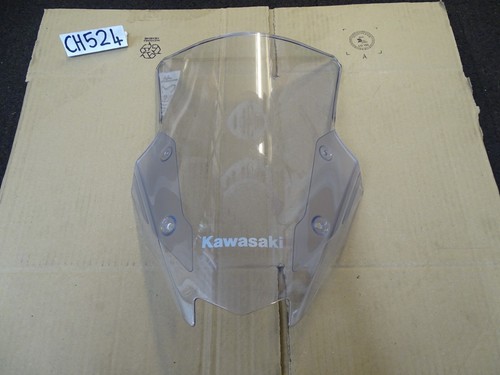 Kawasaki z1000 screen 2021 - kawasaki,
