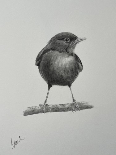 Original signed graphite - original,
