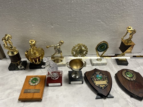 Job lot vintage bowls - lot, trophies
